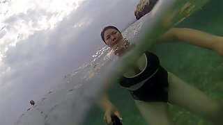 Asiatisk kone store pupper svømming